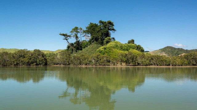 Residential Asking Price NZ120,000 Motukaraka Island, Hokianga