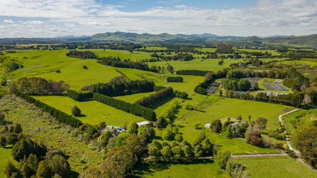 Residential Auction: 195E Mataraua Road, Kaikohe, Far North | Bayleys