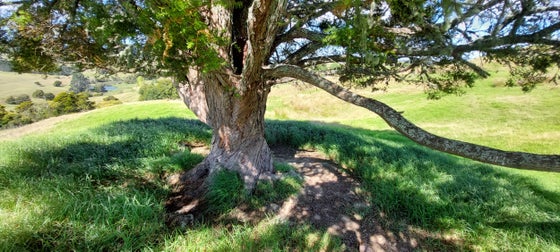 1004502_3.jpg