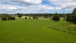 1005174_1.jpg