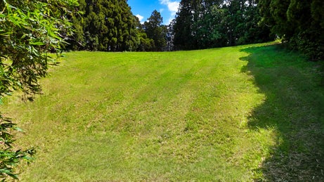 1005461_1.jpg