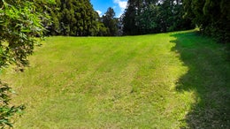 1005461_1.jpg