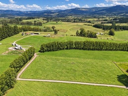 1005540_1.jpg