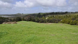 1020067_1.jpg