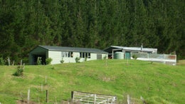 1020113_1.jpg