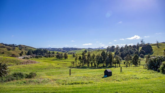 1020205_3.jpg