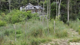 1020270_1.jpg