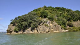 1020274_1.jpg