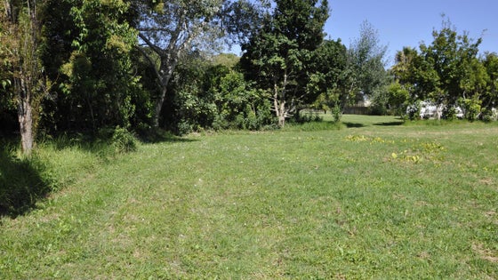 1020296_3.jpg