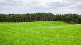 1020364_1.jpg