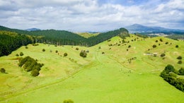 1020408_1.jpg