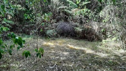 1020435_1.jpg