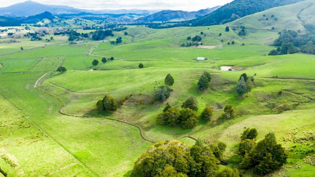 Rural Asking Price NZ$720,000 + GST: Lot 2 1008 Tangowahine Valley Road ...