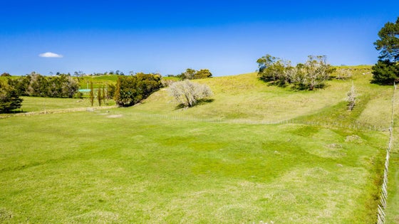 1020456_3.jpg