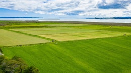1020552_1.jpg