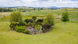 1020596_1.jpg