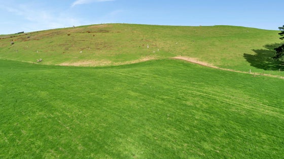 1020649_3.jpg