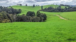 1050020_1.jpg