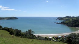 1050025_1.jpg