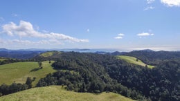 1050026_1.jpg