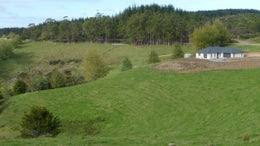 1050042_1.jpg