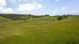 1050052_1.jpg