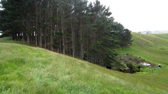 1050057_2.jpg