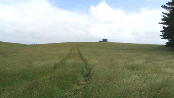 1050057_3.jpg