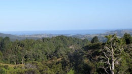 1050059_1.jpg