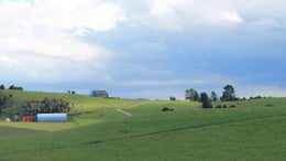 1050065_1.jpg