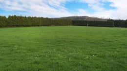 1050069_1.jpg