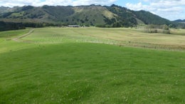 1050074_1.jpg