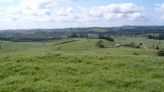 1050144_3.jpg