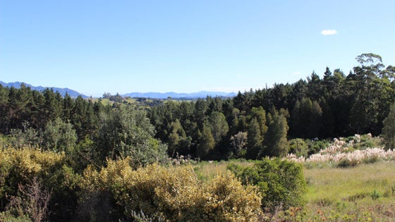 1050347_2.jpg