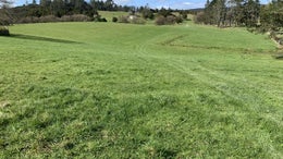 1050377_1.jpg