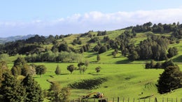 1050390_1.jpg