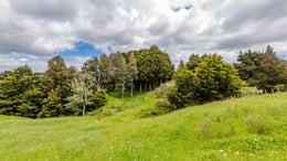 1050402_1.jpg