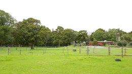 1050437_1.jpg
