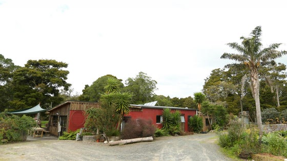 1050437_3.jpg