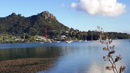 1050574_1.jpg