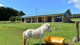 1050692_1.jpg
