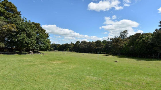 1050692_3.jpg