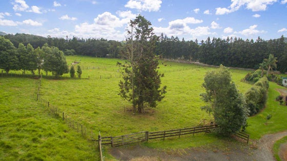 1050975_2.jpg