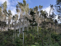 1051057_1.jpg