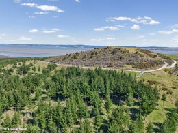 1051090_1.jpg