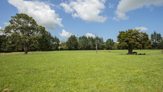 1051724_3.jpg