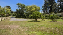 1052326_1.jpg