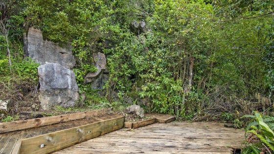 1052551_3.jpg