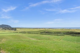 1054254_1.jpg