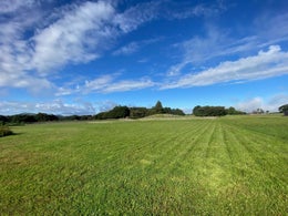 1054342_1.jpg